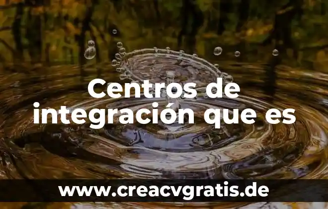 Que es control de integracion 3 Centros de integración que es