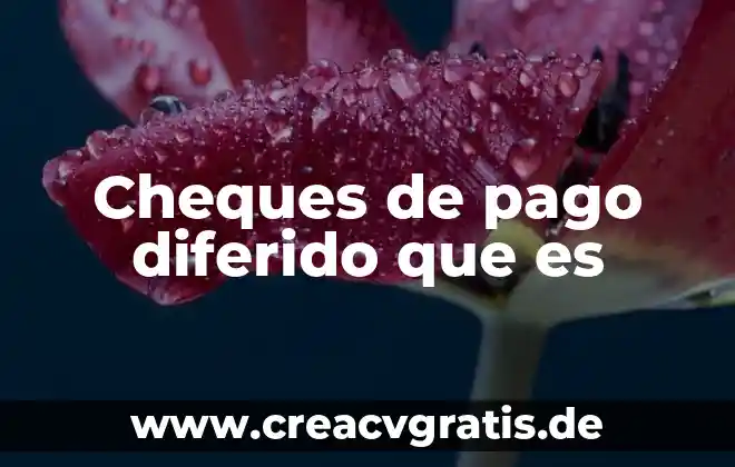 Qué es el pasivo diferido y sus cuentas 4 Cheques de pago diferido que es
