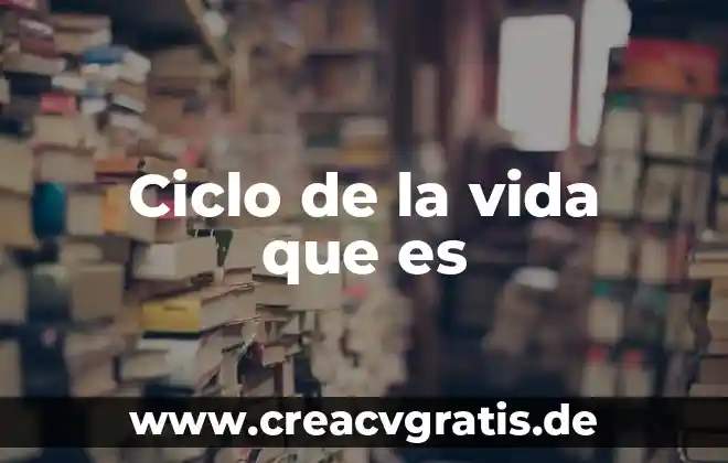 Que es un laberinto en la vida 7 Ciclo de la vida que es