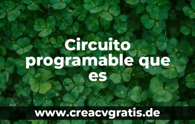 Que es una lima media luna 3 Circuito programable que es