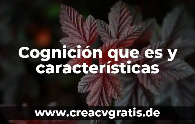 Que es el debate caracteristicas y tipos 7 Cognición que es y características