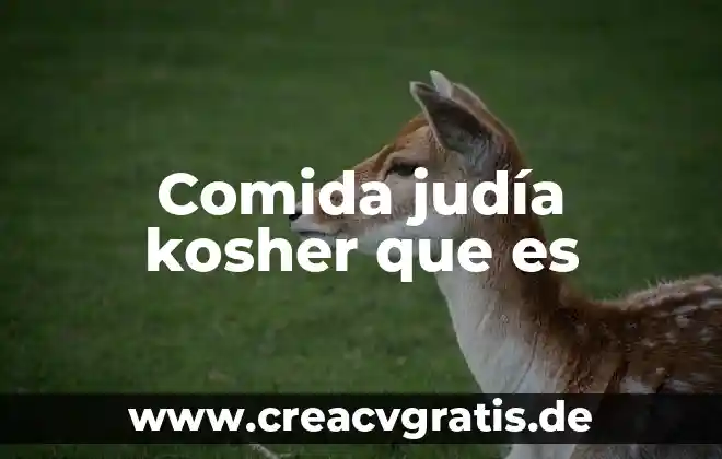 Shishback comida que es 5 Comida judía kosher que es