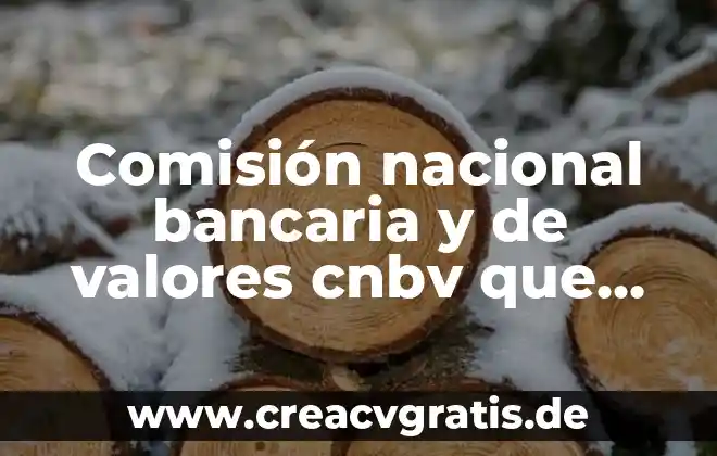 Comision estatal del agua jalisco que es 5 Comisión nacional bancaria y de valores cnbv que es