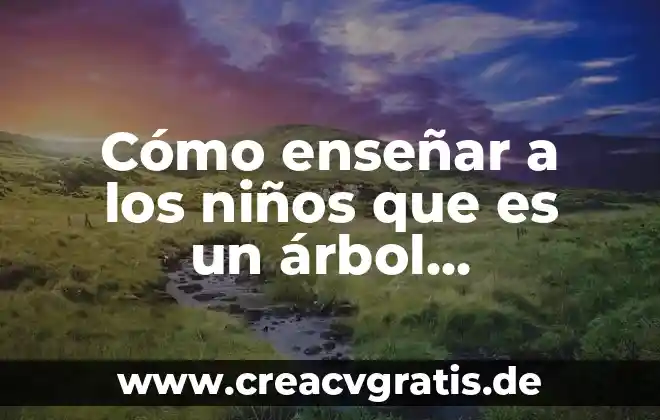 Diagrama de árbol y principio multiplicativo que es 8 Cómo enseñar a los niños que es un árbol genealógico
