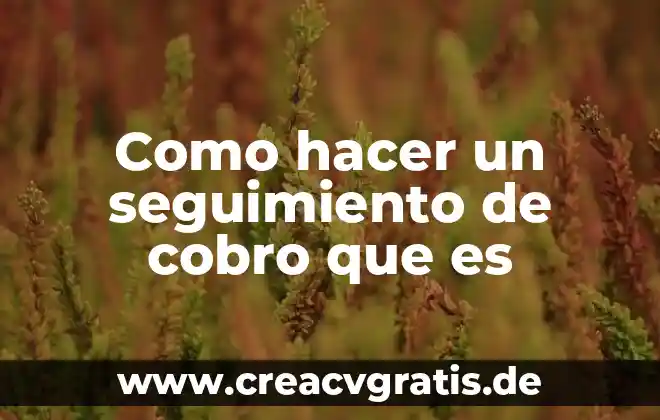 Seguimiento y control de proyectos que es 5 Como hacer un seguimiento de cobro que es