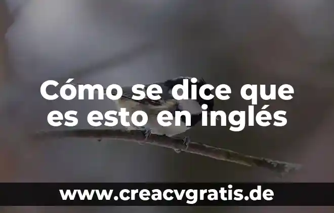 Libros que es esto coleccion al sol solito para descargar 4 Cómo se dice que es esto en inglés