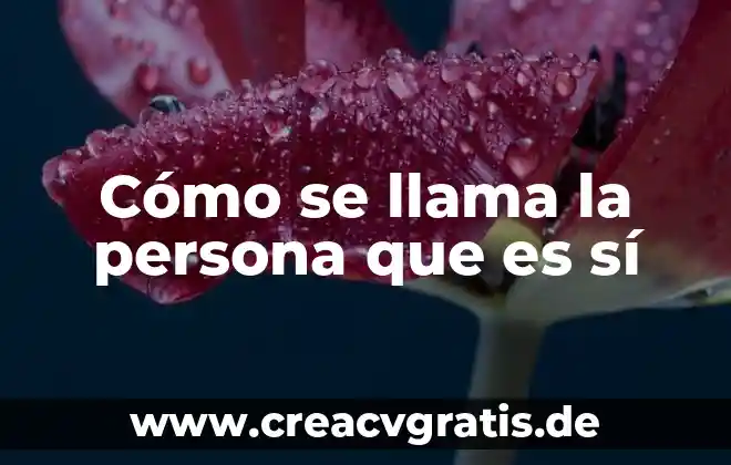 Que es el zodiaco de una persona 7 Cómo se llama la persona que es sí
