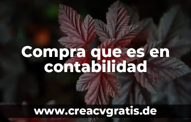Qué es un gasto no deducible en contabilidad 3 Compra que es en contabilidad