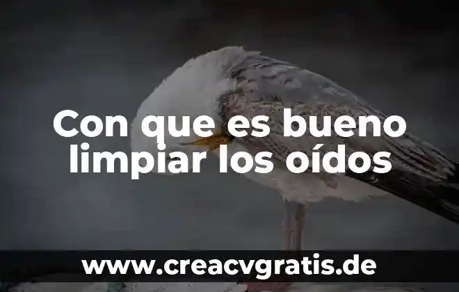 Que es bueno para oidos reventados 3 Con que es bueno limpiar los oídos