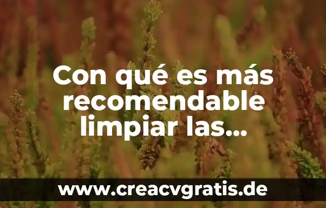 Por que es recomendable comer sanahorias 3 Con qué es más recomendable limpiar las televisiones
