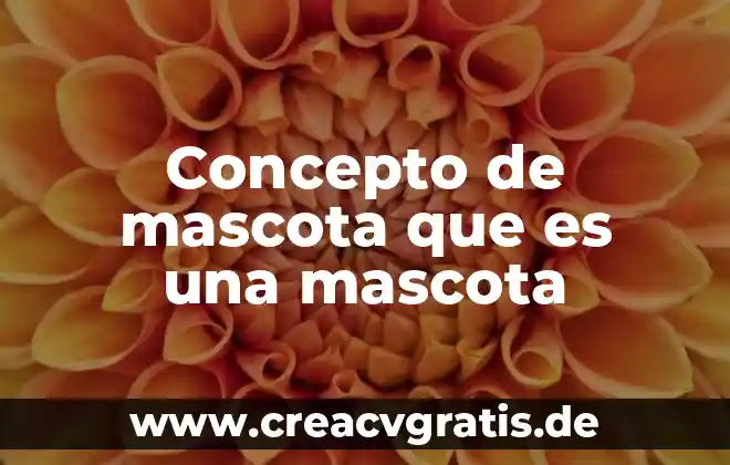 Concepto que es la enfermedad 3 Concepto de mascota que es una mascota