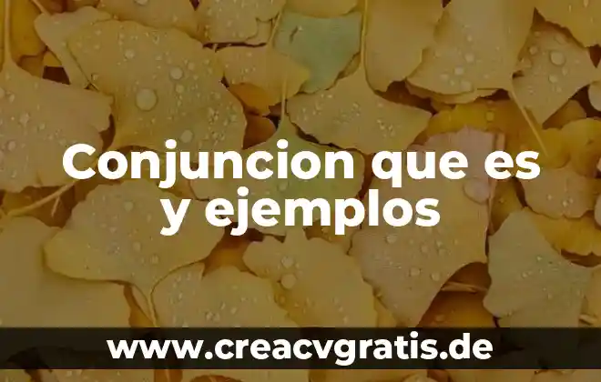 Qué es prolepsis en psicología 3 Conjuncion que es y ejemplos