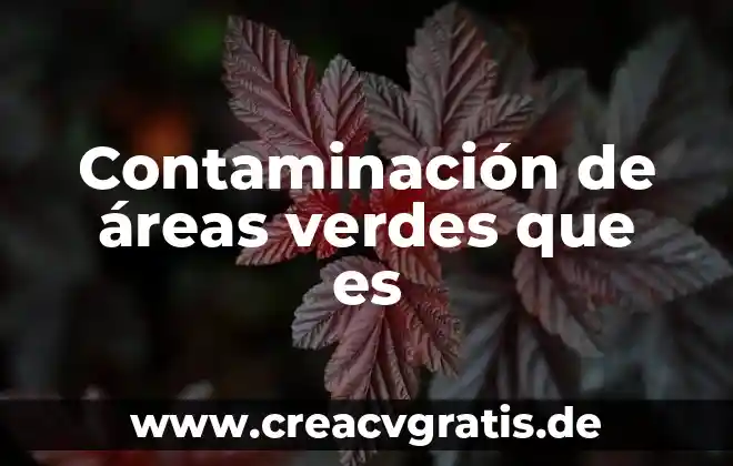 Agua de las verdes matas qué es 5 Contaminación de áreas verdes que es