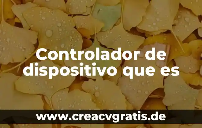Que es respaldo de controlador def 4 Controlador de dispositivo que es