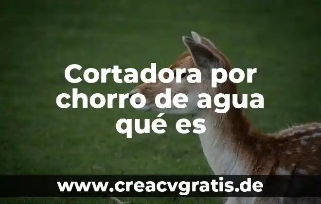 Que es el agua dulce 6 Cortadora por chorro de agua qué es
