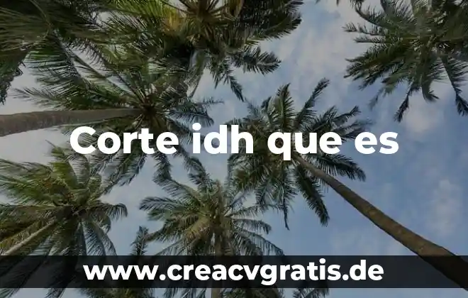 Qué es organigrama y qué tipos de organigrama existen 6 Corte idh que es