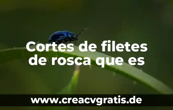 Que es el amor cortes 3 Cortes de filetes de rosca que es