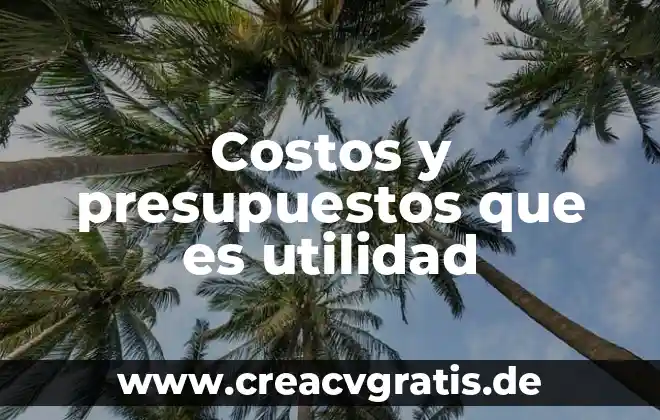 Que es un nivel en presupuestos 3 Costos y presupuestos que es utilidad
