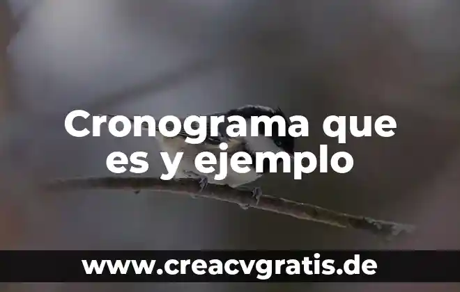 Que es un cronograma de diseño de proyecto 5 Cronograma que es y ejemplo