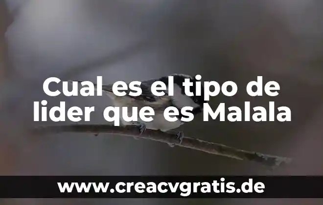 Presentaciones de que es la masa en psicología de grupos 4 Cual es el tipo de lider que es Malala