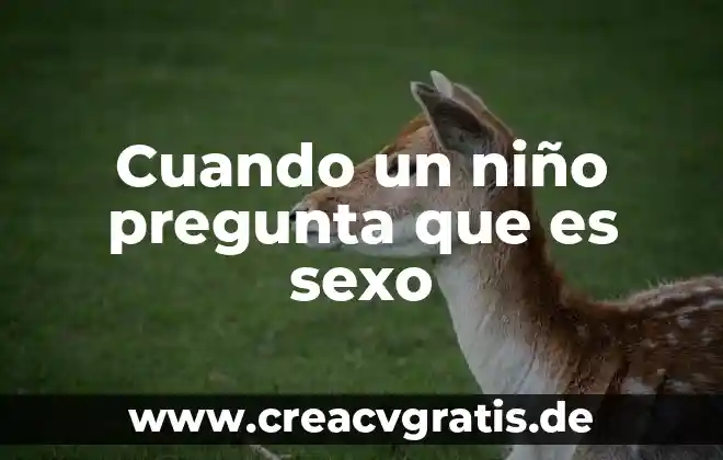 Que es el ejercicio progresivo de los derechos del niño 5 Cuando un niño pregunta que es sexo