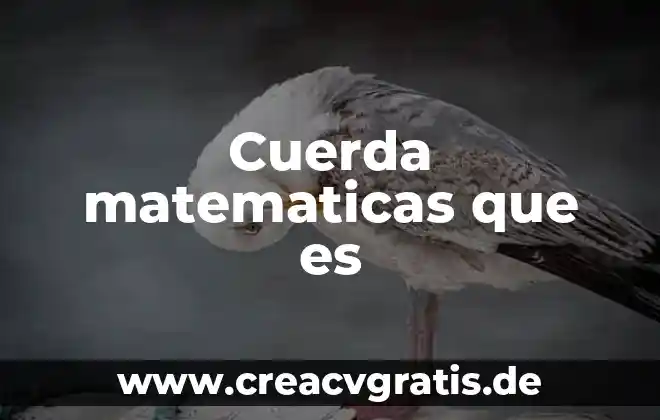 Qué es el juego de la cuerda 6 Cuerda matematicas que es