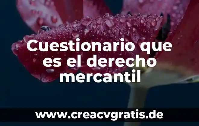 El cuestionario que es características ventajas y desventajas 3 Cuestionario que es el derecho mercantil