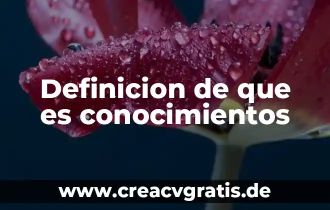 Qué es diplomático definición 3 Definicion de que es conocimientos