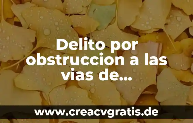 Que es mensaje en ciencias de la comunicacion 3 Delito por obstruccion a las vias de comunicacion que es