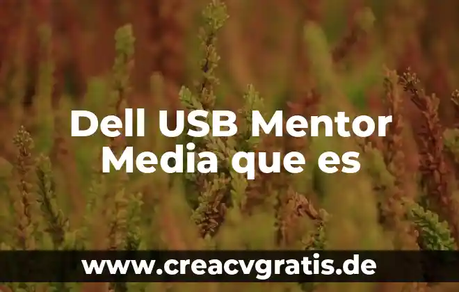Que es y para que sirve media wiki 3 Dell USB Mentor Media que es
