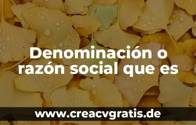 Que es la cognicion social 7 Denominación o razón social que es