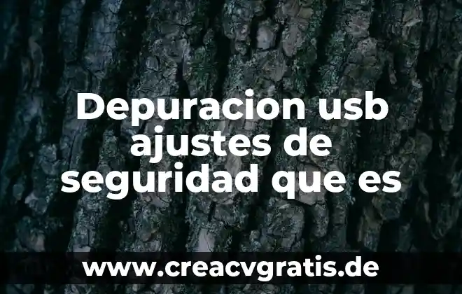 Qué es sistema de ajustes en metrología dimensional 3 Depuracion usb ajustes de seguridad que es