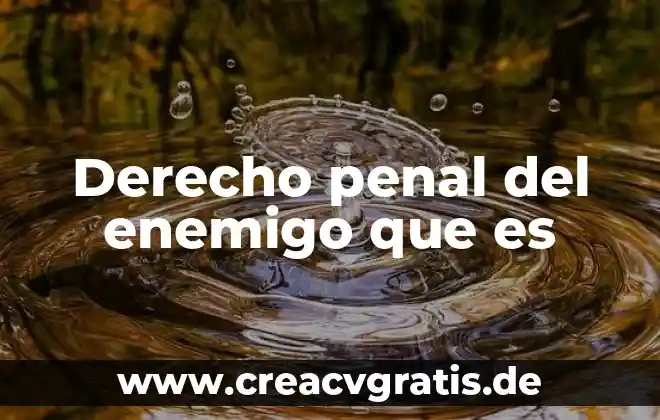 Que es el principio de publicidad en materia penal 3 Derecho penal del enemigo que es