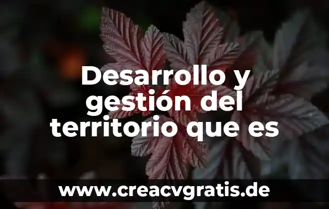 Qué es el territorio derecho 3 Desarrollo y gestión del territorio que es