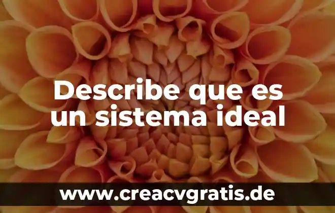 Que es lo ideal que come el gacha 4 Describe que es un sistema ideal