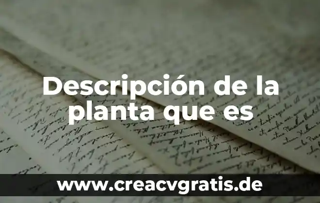 Que es la descripción grafica del proyecto 5 Descripción de la planta que es