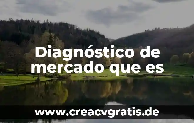Qué es el concepto de diagnóstico de franquiciabilidad 6 Diagnóstico de mercado que es