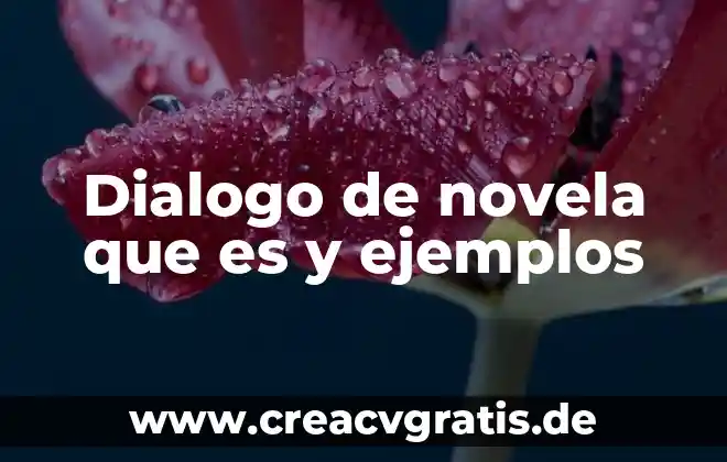 Que es un contrato tipos de contrato y ejemplos 8 Dialogo de novela que es y ejemplos