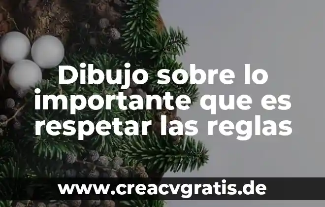 Crees que es importante respetar las reglas y porque 5 Dibujo sobre lo importante que es respetar las reglas