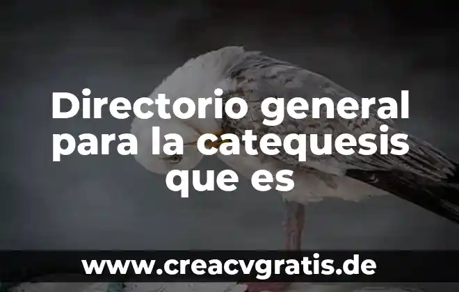 Que es un principio general 7 Directorio general para la catequesis que es