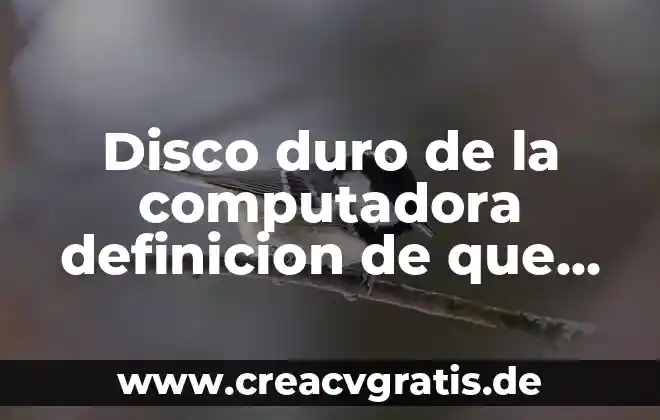 Que es el curriculum en espiral ejemplo 6 Disco duro de la computadora definicion de que es