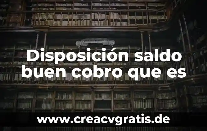 Que es saldo real en contabilidad 3 Disposición saldo buen cobro que es