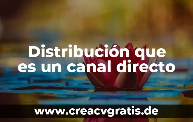 Que es la politica de distribucion del ingreso 4 Distribución que es un canal directo