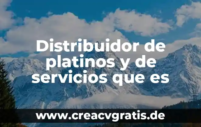Ingenieria de servicios que es 3 Distribuidor de platinos y de servicios que es