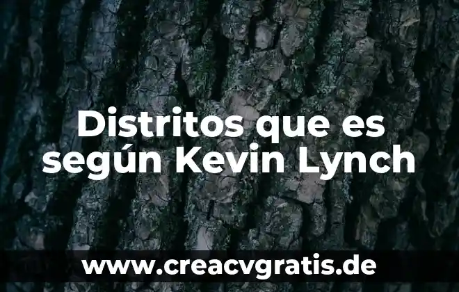 Qué es la verdad según Franz Brentano 4 Distritos que es según Kevin Lynch