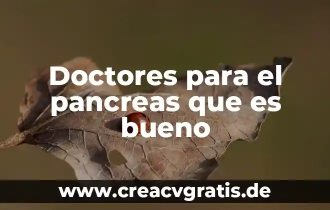 Qué es bueno para quemaduras con agua hervida 4 Doctores para el pancreas que es bueno