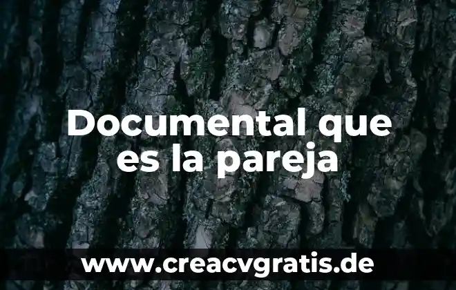 Que es el analisis documental en una investigacion 6 Documental que es la pareja