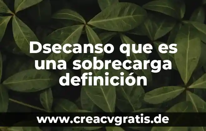Qué es diplomático definición 4 Dsecanso que es una sobrecarga definición