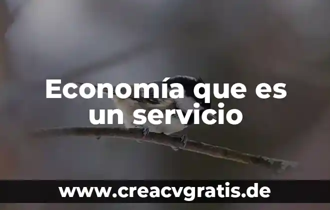 Que es un banco de sangre y su organizacion 4 Economía que es un servicio