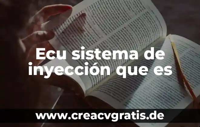 Qué es un mapa de inyección 7 Ecu sistema de inyección que es